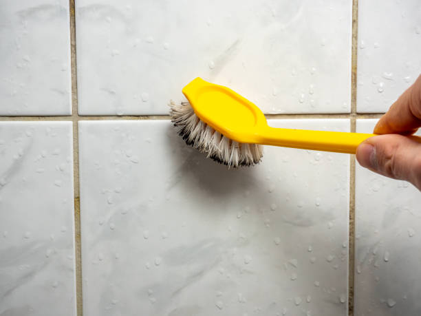 Best Mold Remediation Services  in Navajo, NM