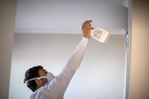 Best Mold Damage Repair  in Navajo, NM