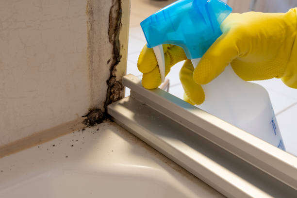 Best Crawl Space Mold Removal  in Navajo, NM