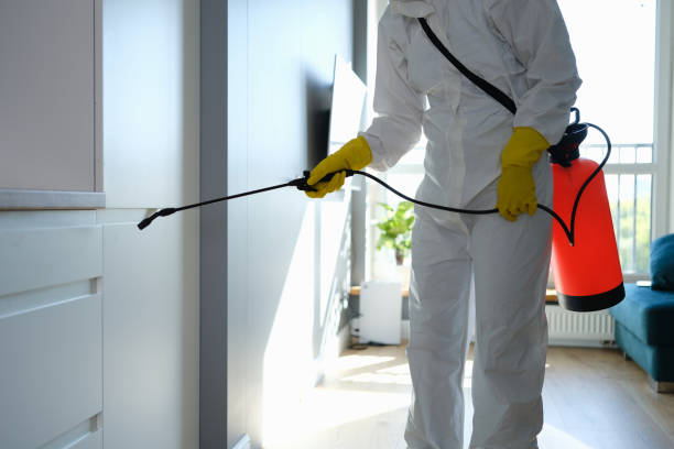 Best Mold Cleaning Services  in Navajo, NM