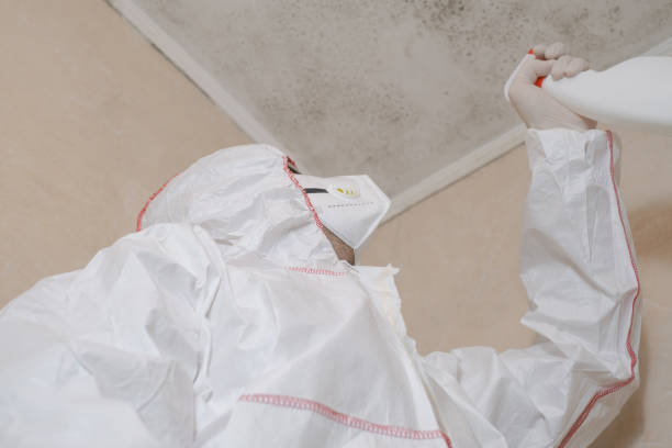 Water Damage Restoration in Navajo, NM