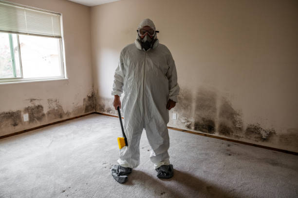 Best Certified Mold Removal  in Navajo, NM